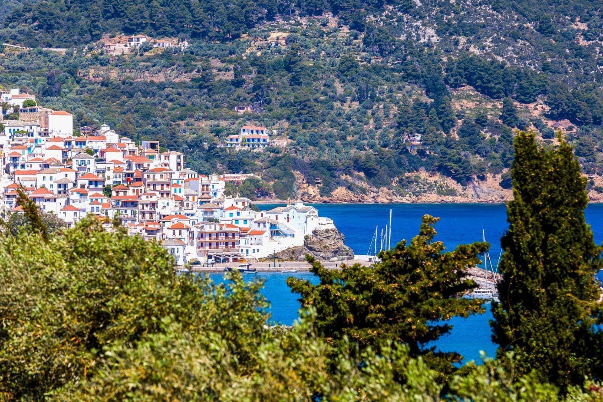 Naiades Superior Apartments In Skopelos With Sea View Close To The Town Экстерьер фото